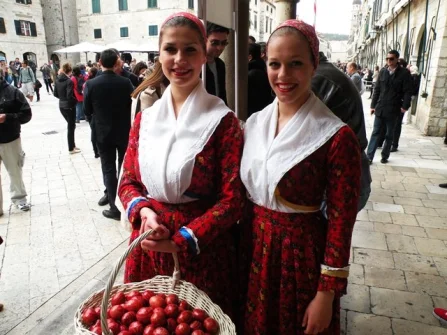Opis slike
