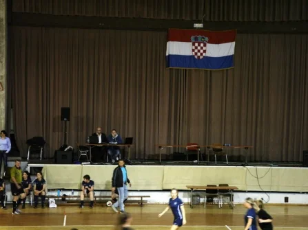 Opis slike