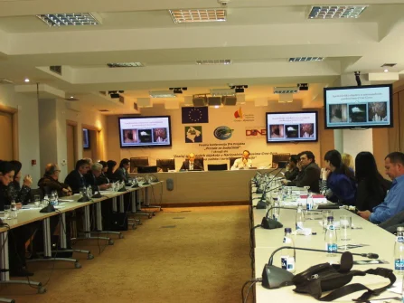 Opis slike