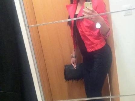 Opis slike