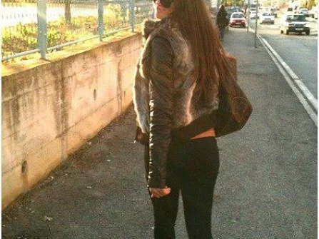 Opis slike