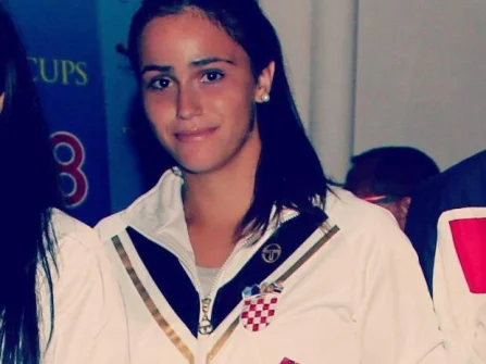 Opis slike