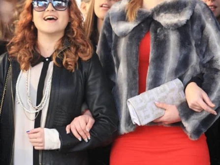 Opis slike