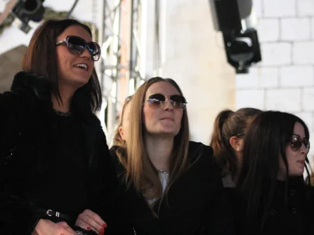 Opis slike