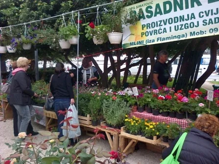 Opis slike