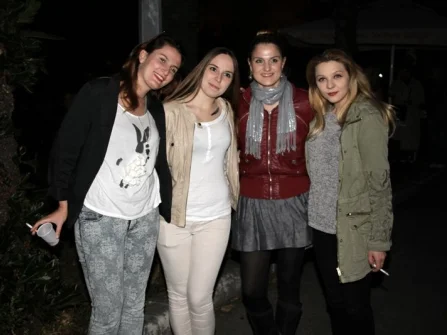 Opis slike