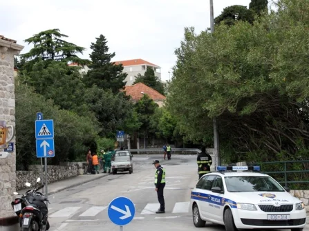 Opis slike