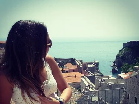 Opis slike