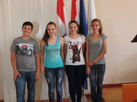 Opis slike