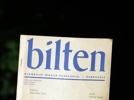 Opis slike