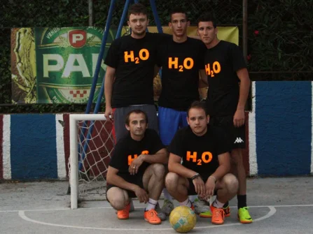 Opis slike