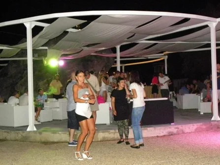 Opis slike