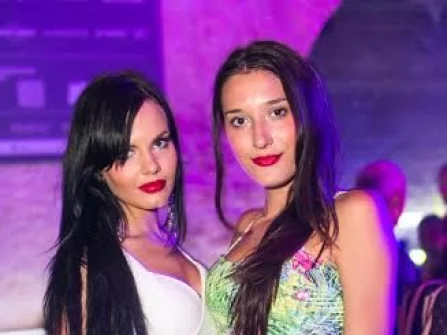 Opis slike
