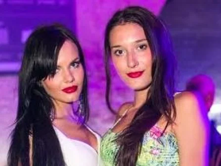Opis slike