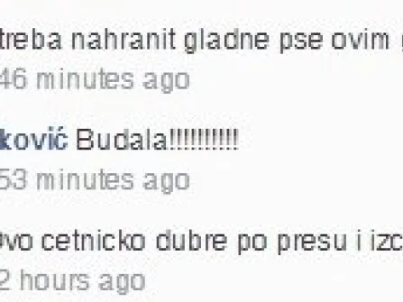 Opis slike