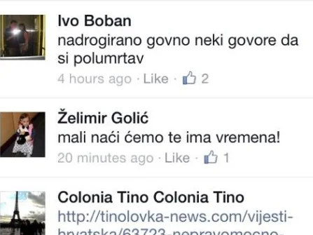 Opis slike