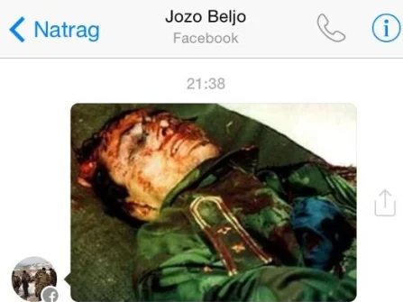Opis slike