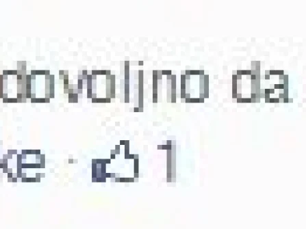 Opis slike