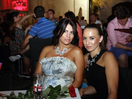 Opis slike