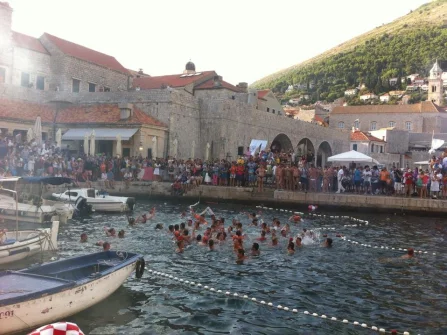 Opis slike