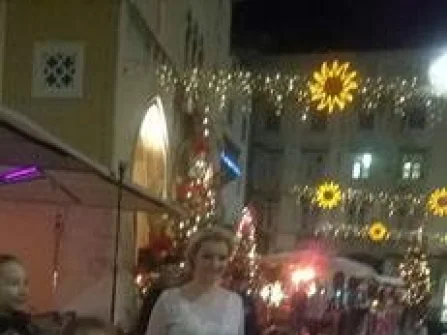 Opis slike