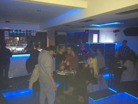 Opis slike