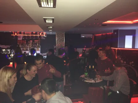 Opis slike