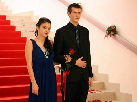 Opis slike