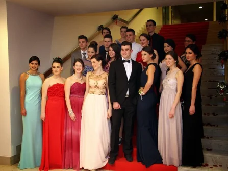 Opis slike