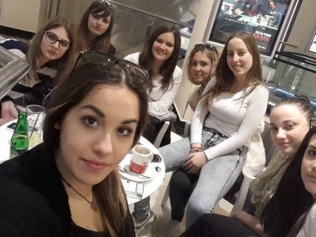Opis slike