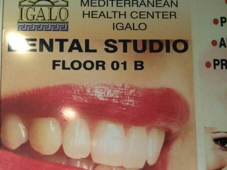 Opis slike