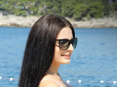 Opis slike