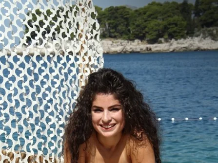 Opis slike