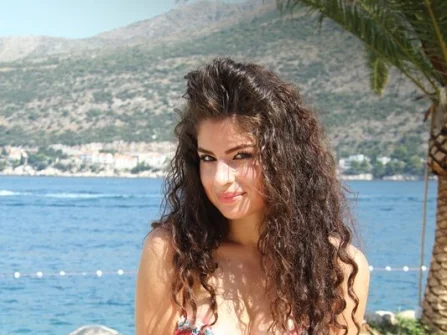 Opis slike
