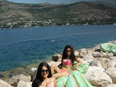 Opis slike