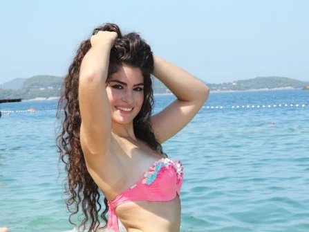 Opis slike