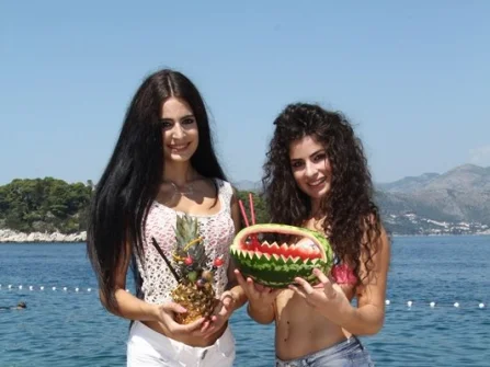 Opis slike