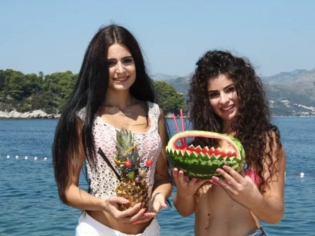 Opis slike