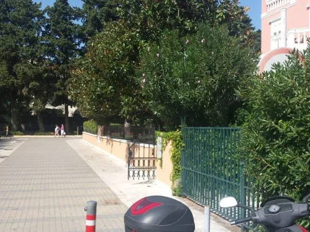 Opis slike