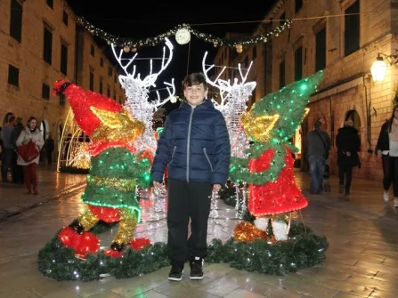 Opis slike