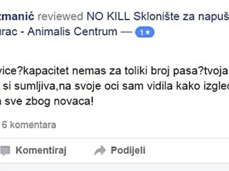 Opis slike