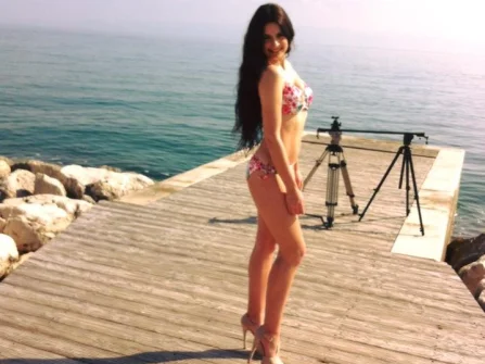 Opis slike