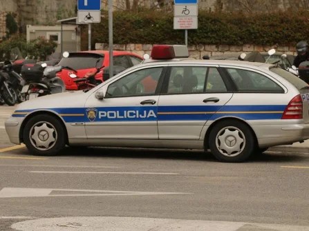 Opis slike