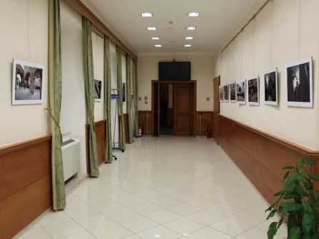 Opis slike