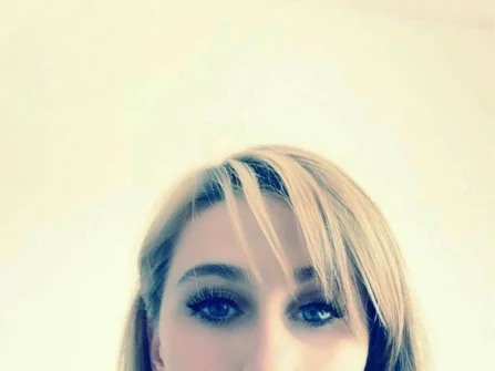Opis slike