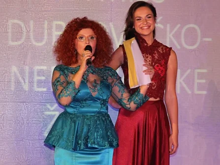Opis slike