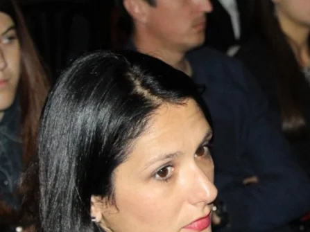 Opis slike