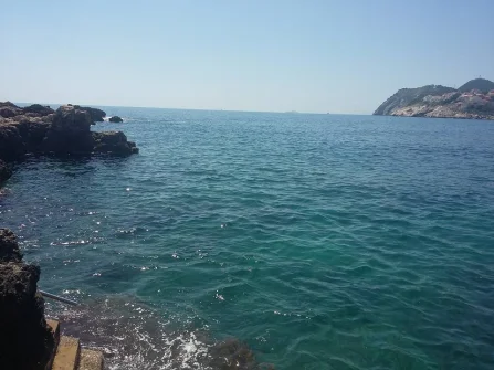 Opis slike