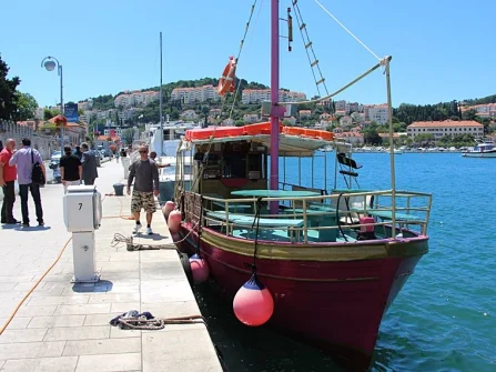 Opis slike