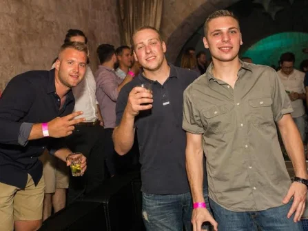 Opis slike